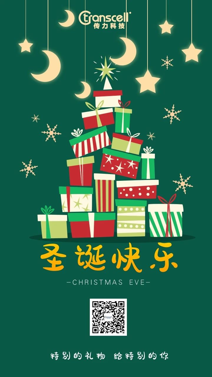 Merry Christmas | Sending Peace Fruit